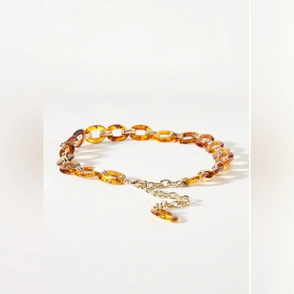Anthropologie | Accessories | Anthropologie Resin Chain Belt  display picture 1